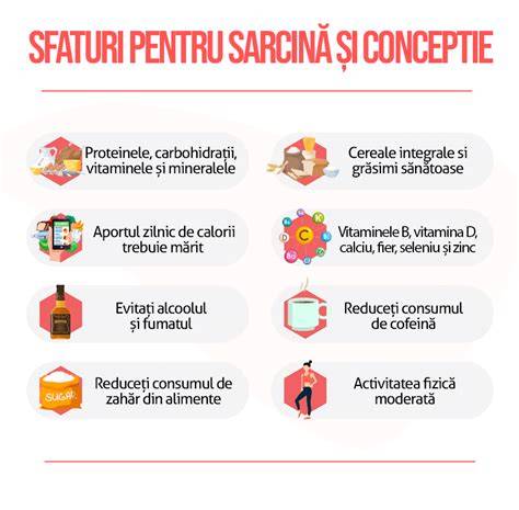 Infografic: dezvoltarea fătului la jumătatea sarcinii