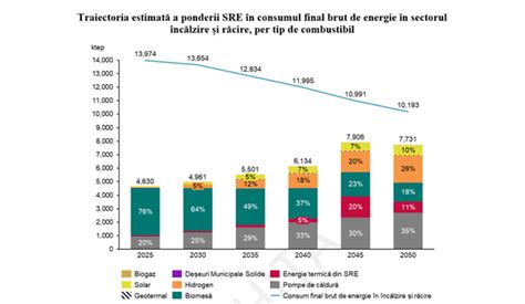 Grafic distribuție ecografii pe trimestre