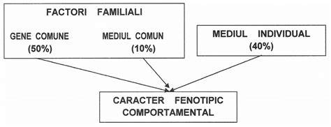 Hartă conceptuală: factori genetici, hormonali, uterini și de mediu în avort
