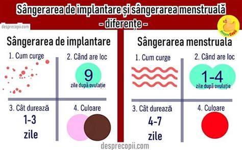 Infografic: Diferente intre menstruatie normala, sangerare de implantare si sangerari in sarcina