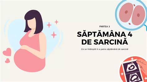 Infografic sumar dezvoltare embrionară și simptome în săptămâna 4 de sarcină