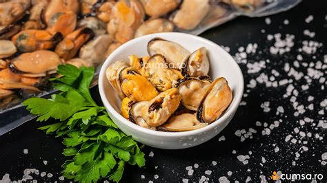 Infografic cu logo-urile brandurilor de scoici auto compatibile cu adaptoarele Joolz