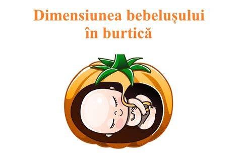 Burtică în săptămâna 27: contur și poziție fetală