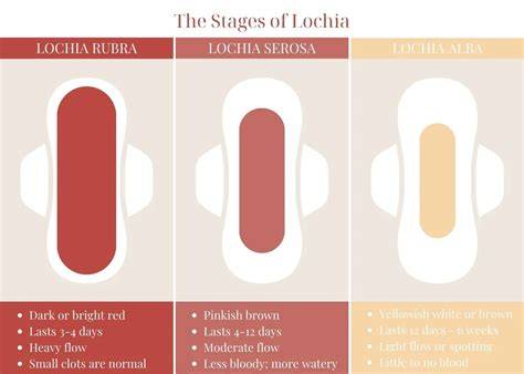 Infografic lohii postpartum: evoluția culorii și durate