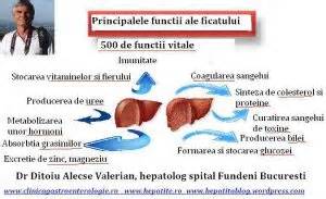 Schema funcțiilor ficatului într-un organism uman