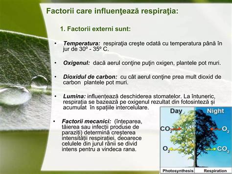 Infografic cu factorii care influențează frecvența crizelor în sarcină