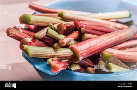 rhubarb stalks washed and sliced in a bowl