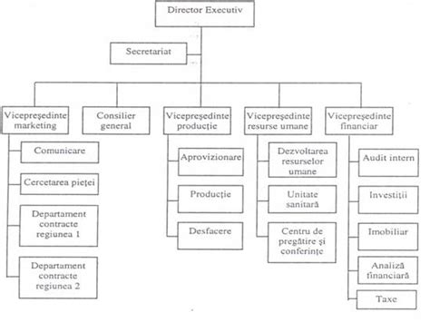 Schema organizatorică a unei secții de oncopediatrie