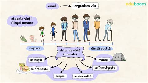 Diagrama care ilustrează diferite tipuri de complicații în sarcină