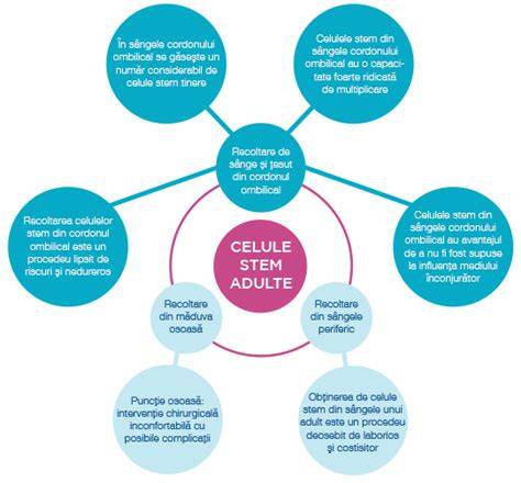 Infografic: Scurt ciclu de recoltare a celulelor stem din cordonul ombilical
