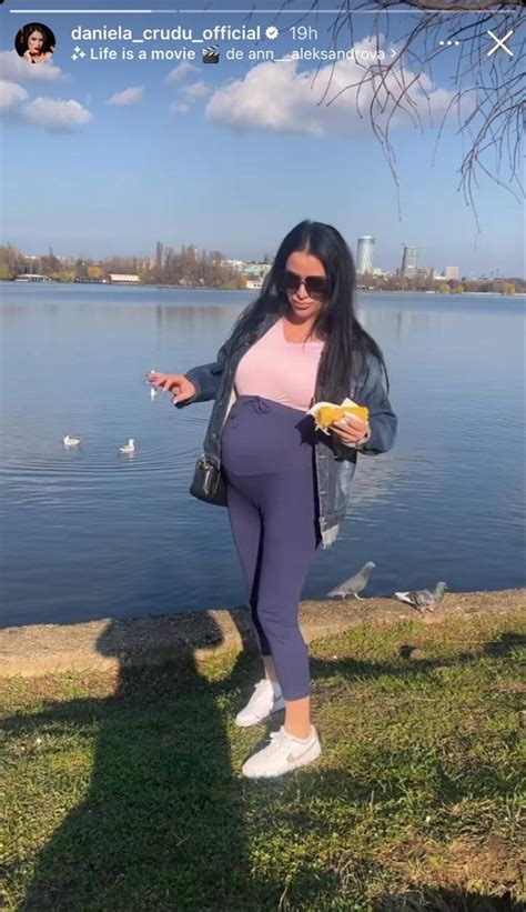 Câine gravid cu burtica proeminentă