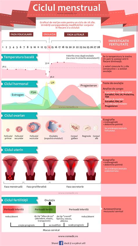 Diagrama ciclului menstrual dupa chiuretaj si recomandari de contraceptie