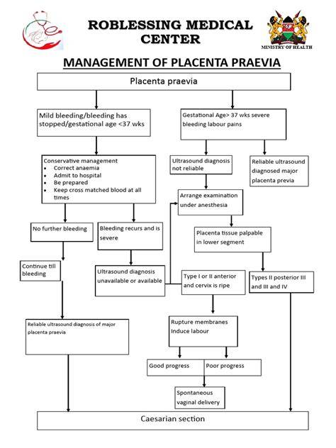 Infografic despre placenta praevia: clasificare, simptome și management