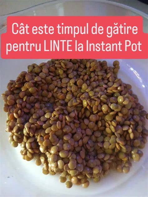 Schema de gătire lentă: croc pot vs. friptură vs. înăbuire