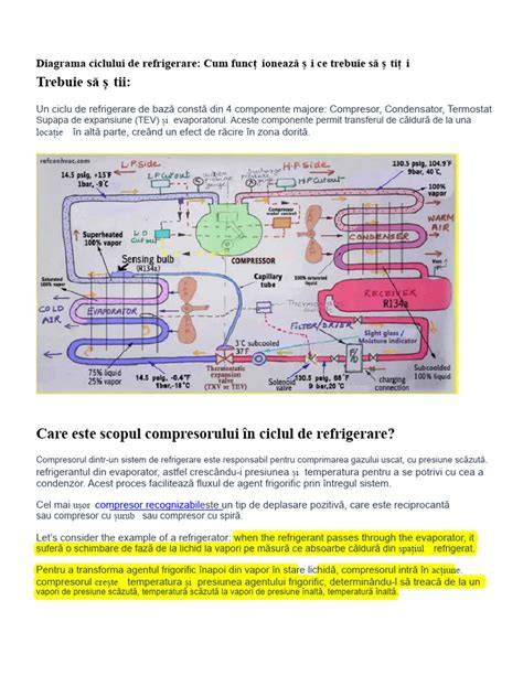 Diagrama ciclului metabolismului vitaminei D în sarcină