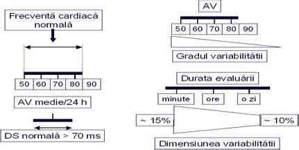 Infografic: Ritmul cardiac fetal normal si tulburari comune (intervale 110-160 bpm, tahicardie >160 bpm, bradicardie <110 bpm)