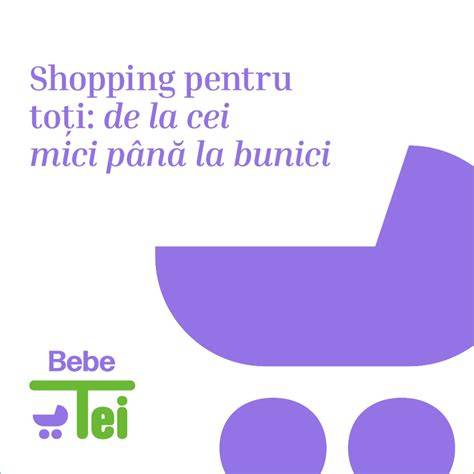 Infografic: Rutele principale Bebe Tei si tipuri de activitati (consultari, demo, gifting)