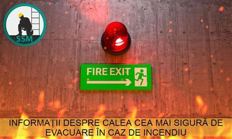 Infografic despre etapele fătării și semnele de avertizare