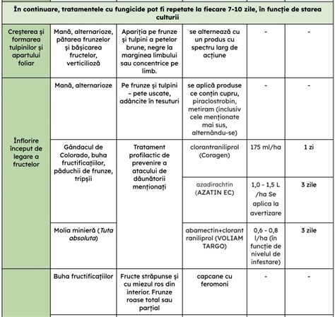 Schema tratament hipertiroidism postpartum: faze și medicamente