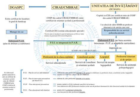 Infografic: traseul îngrijirii obstetrice-ginecologice de la consultație la tratament