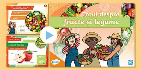 Infografic: Craterele gusturilor - etapele diversificării și introducerea fructelor pas cu pas