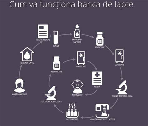 Infografic: Cum funcționează o bancă de lapte matern