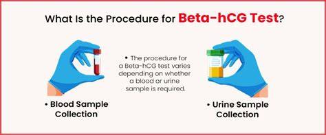 Infografic: structura dublului test, markeri serici PAPP-A si beta-hCG, plus translucenta nucala