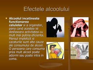Infografic: cum trece alcoolul placentara si efectele asupra fatului