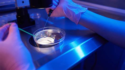 Procesul de fertilizare in vitro