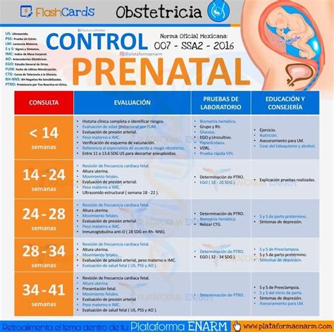Infografic: Pași principali ai primului control prenatal (istoric medical, teste de sânge/urine, ecografie, plan de îngrijire)