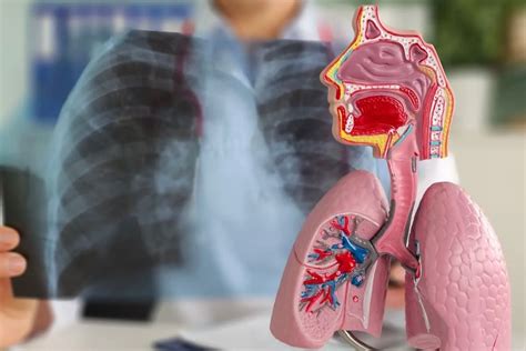 Infografic: Cum functioneaza ortopedia pediatrica si ce afectiuni trata