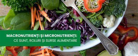 Scheme nutritive: macronutrienți principali și surse
