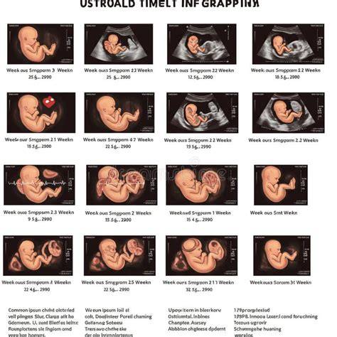Infografie: Cronologia determinării sexului fetal