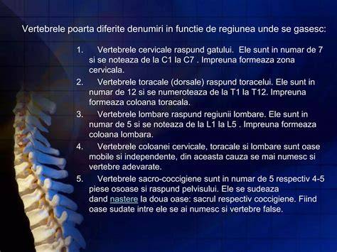 Diagramă schematizată a suportului coloanei în poziții litera M