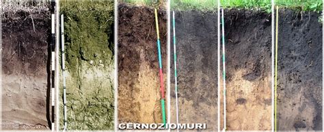 Tipuri de amendamente pentru sol