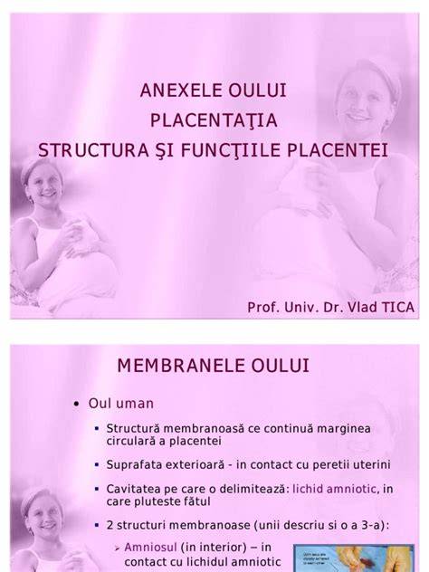 Infografic: Structura placentei si functiile sale