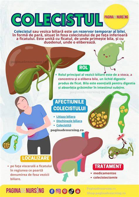 Infografic: Simptome si cai de abordare a amortelei dupa cezariană