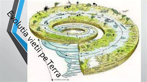 Diagrafie: Pretuieste si monitorizeaza evolutia copiilor pe durata tratamentelor