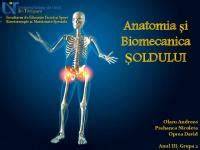 Infografic: anatomia soldului la nou-nascut si etapele maturizarii