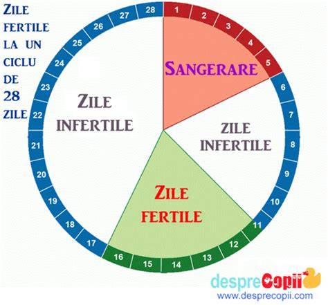 Infografic: Fereastra fertilă zilnică într-un ciclu tipic de 28 de zile