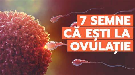 Infografic: Fereastra fertilă si principalele semne de ovulație