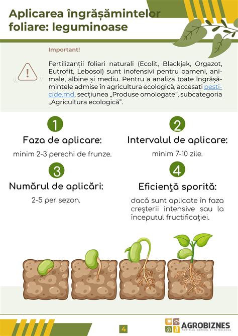 Infografic: „Principalele grupuri de nutrienți pentru sarcină”