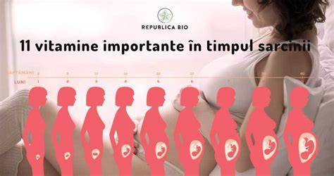 Infografic: vitaminele esențiale în timpul sarcinii și rolurile lor