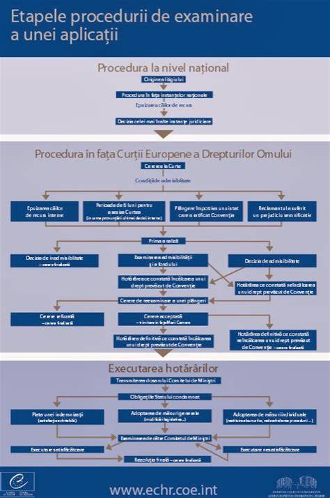 Infografic: Check-list pentru decizia de avort si etapele procedurii
