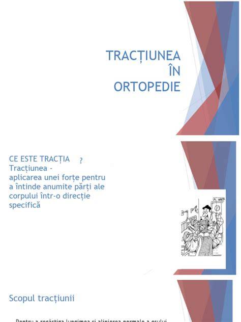 Infografic: Părți ale scheletului întâlnite în ortopedie pediatrică