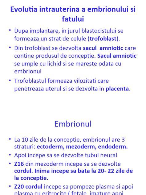 Infografic: Materialele principale despre determinarea sexului fatului si etapele ecografice