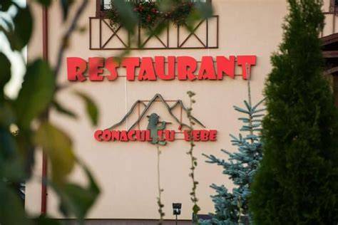 Fotografie de la Conacul lu’ Bebe: restaurantul, sala de spectacole si curtea cu amprentă istorică