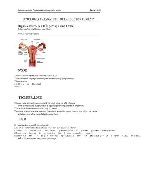 Schema anatomică a aparatului reproducător feminin