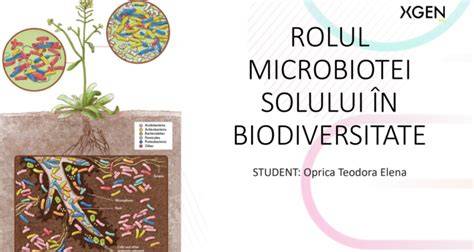 Infografic: rolul HMOs în dezvoltarea microbiotei si imunității