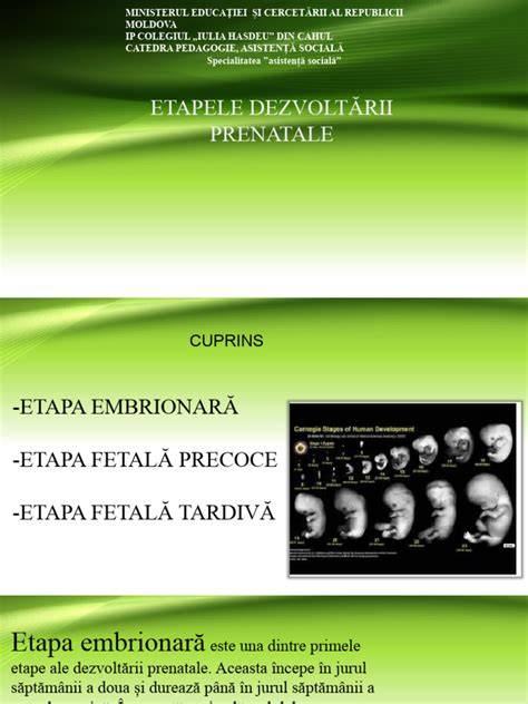 Infografic: etapele kinetoterapiei prenatale si obiectivele principale